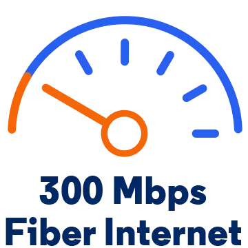 300 Mbps speedometer